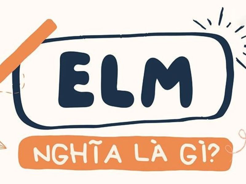 Nguồn gốc của từ elm là gì?